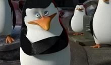 唐立淇2014年4月天秤座运势