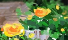 探索金牛座的恋爱观