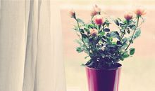 双鱼座一定要懂的心理效应