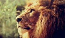 A微日记2014年4月份天象解读