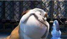 唐立淇2014年4月水瓶座运势