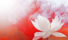 Quentin2014年10月星座运势