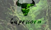 Alex金牛座2017年12月运势