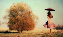 熊神进12星座一周运程（12月22日至12月28日）