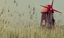 玛丽亚-德西蒙尼2014年10月天蝎座爱情运势