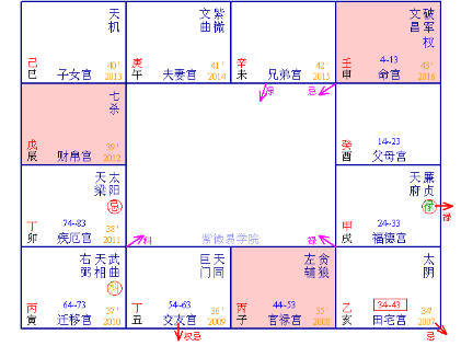 紫薇豆树的时空表现