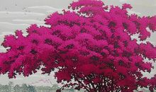 小乖麻根等卓玛2014年4月金牛座运势