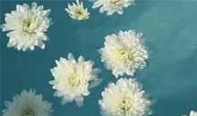 张盛舒一周健康运(10.9-10.15）