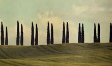 玛丽亚-德西蒙尼2014年10月摩羯座爱情运势