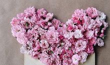 薇薇安一周星座运势(8.9-8.15)