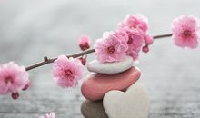 八字桃花位是午什么意思