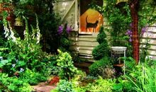 玛丽亚-德西蒙尼2014年处女座5月爱情运势