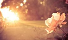 射手座一定要懂的心理效应