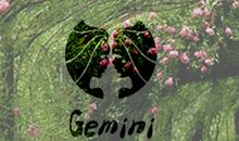 Alex双子座2017年12月运势