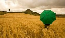 食并干2014年5月，6月，7月，8月金牛座运势