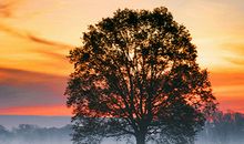 Alex2016年11月摩羯座运势