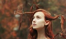 柒爸白羊座一周运势（2.5-2.11）