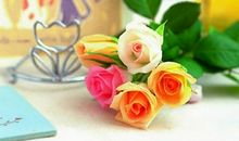 鲜鲜2014年5月星座运势