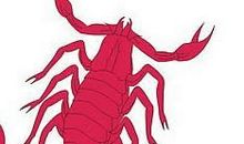 天蝎座下周运势12月9日～12月15日