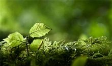 TIM:双子座一周运势（5.6-5.12）