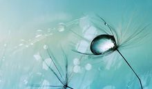 Julia Chen2014年10月射手座运势