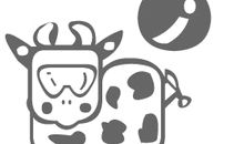 金牛座下周运势11月11日～11月17日