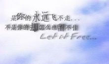 紫薇命理分析——投资百万元的遗憾