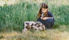 柒爸2016年11月射手座运势