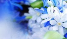 紫薇斗数里的经典狠角色----解神