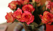 蓝蓝本周星座运势1022-1028