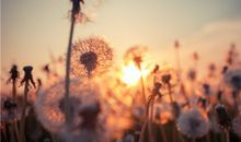 大门煞气及化解方法汇总