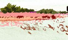 谁最适合处女男