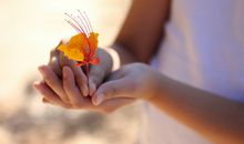 紫微斗数里的经典狠角色---红粉世家