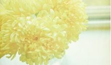 紫薇斗数里的经典狠角色-----衣冠风流