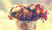 紫微斗数——预测车祸的实例