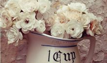 紫微命理简析天机化忌