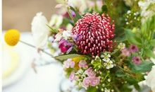 紫微斗数——预测坠跌灾祸的实例