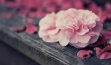 紫微斗数——预测火灾爆炸的实例