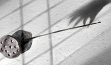 奥运会上处女座的精彩表现