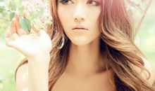 紫微斗数——预测动物伤害的实例