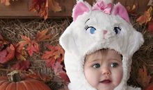 Jupiter 白羊座2014年运势