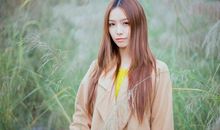 紫微斗数古诀之探究