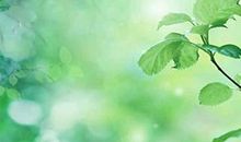 紫微斗数预测房屋环境的实例