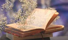 YAO叔狮子座一周运势（5.28-6.3）