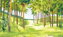 紫薇论命古诀整理之太阴