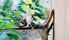 Eskey天蝎座一周运势（2.5-2.11）