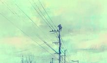 玛丽亚-德西蒙尼2014年10月白羊座爱情运势