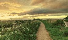 玛丽亚-德西蒙尼2014年10月金牛座爱情运势