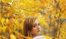 柒爸金牛座一周运势（2.5-2.11）