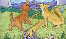 愚者之神秘的月亮